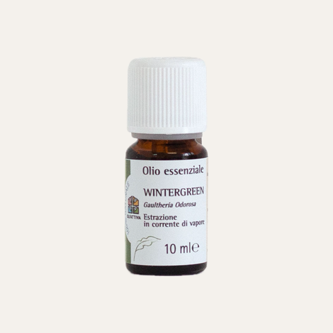 Olio essenziale Wintergreen - Olfattiva